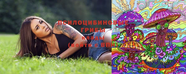 гидропоника Арсеньев