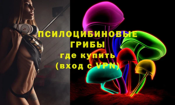 бошки Армянск